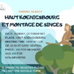 Visit to Haut-Koenigsbourg castle and La Montagne des Singes