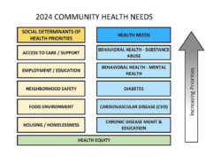 community-health-needs-assessment-template