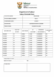 Department of Labour Salary Schedule Template department-of-labour-salary-schedule-template