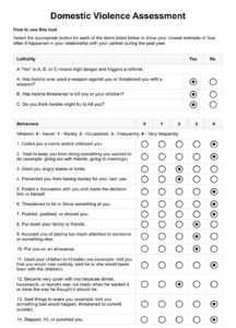domestic-violence-risk-assessment-template