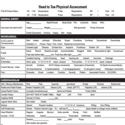 Head To Toe Physical Assessment Template head-to-toe-physical-assessment-template