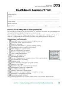 Health Care Needs Assessment Template health-care-needs-assessment-template