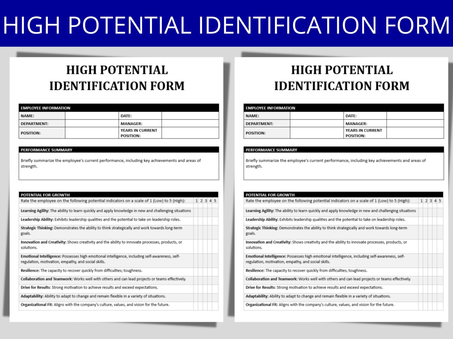 High Potential Employee Assessment Template