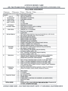 home-care-risk-assessment-template