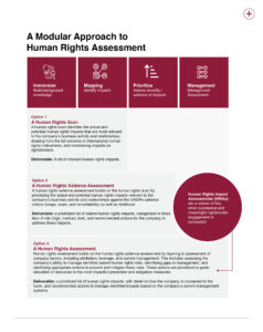 Human Rights Impact Assessment Template human-rights-impact-assessment-template