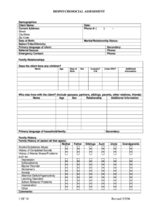 mental-health-biopsychosocial-assessment-template