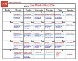 Nursing School Study Schedule Template nursing-school-study-schedule-template