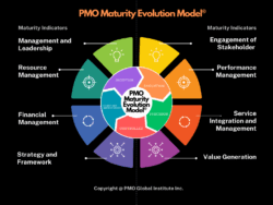 project-management-maturity-assessment-template