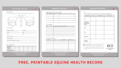 equine-medical-record-template